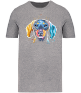 Ronnies Casuals Colour Splash Dachshund T-shirt in Grey. S, M, L, XL, 2XL, and 3XL